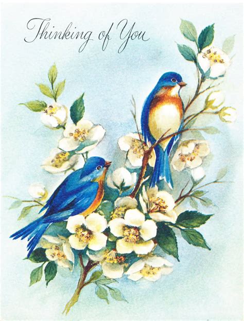 Bird & Wildlife Greetings Cards .